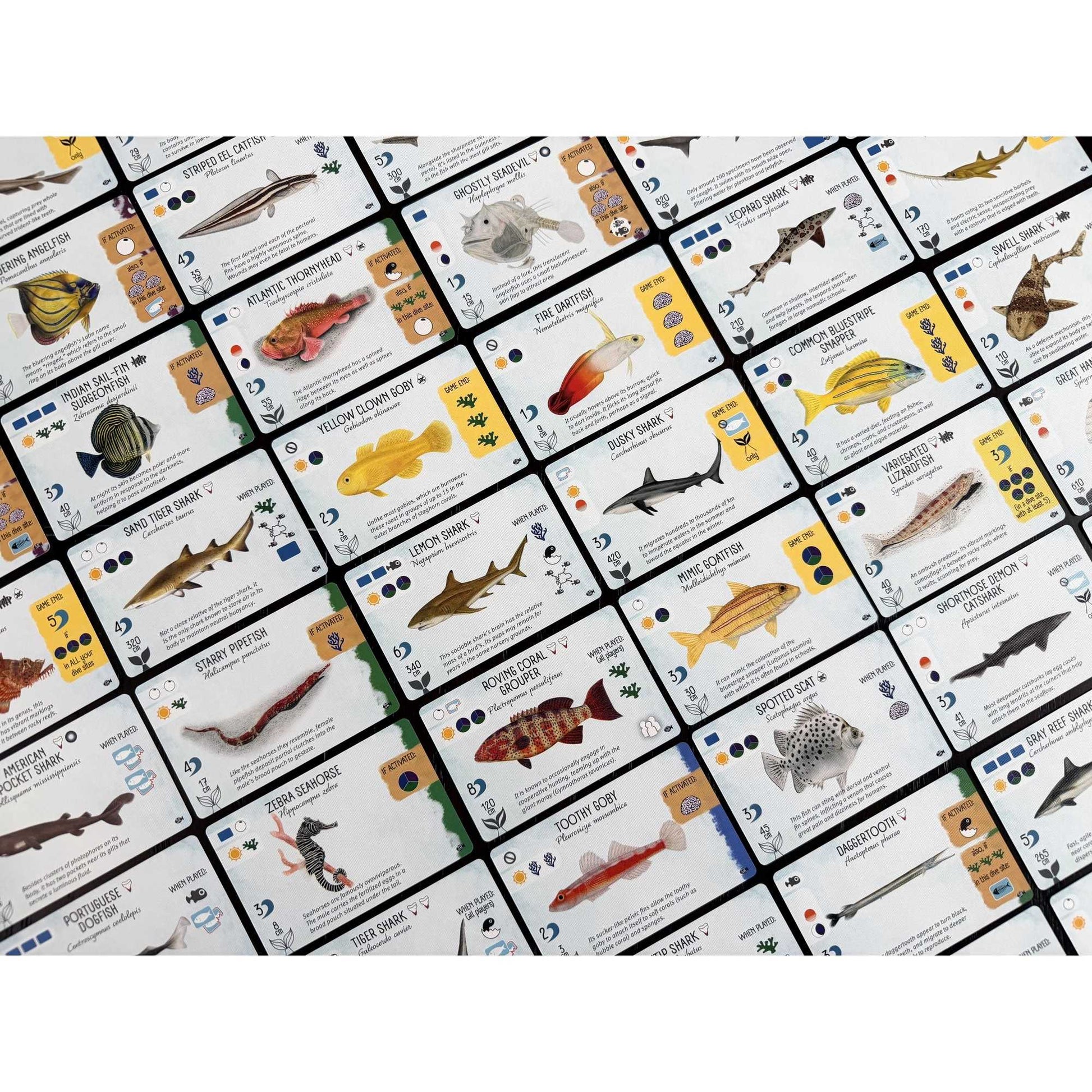 Finspan: Sharks & Reefs