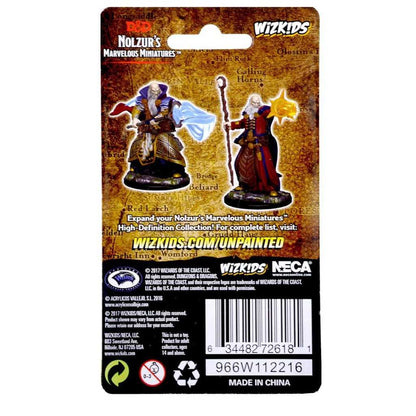 D&D Unpainted Miniatures: Human Male Wizard