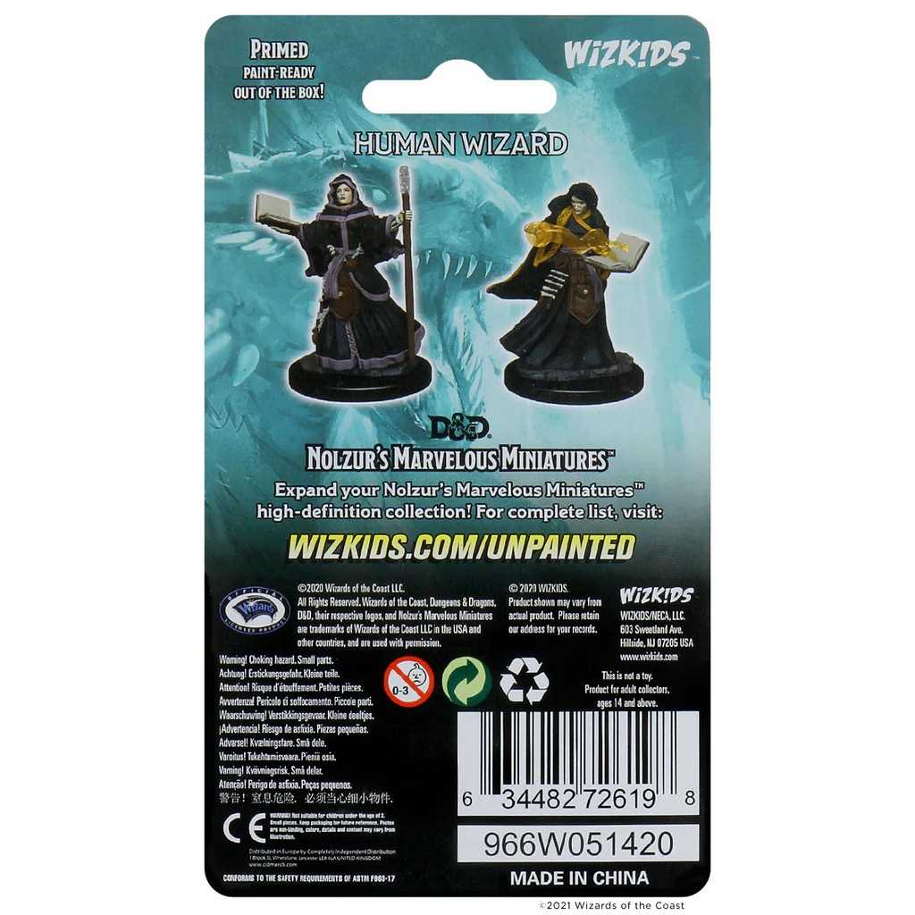 D&D Unpainted Miniatures: Human Female Wizard