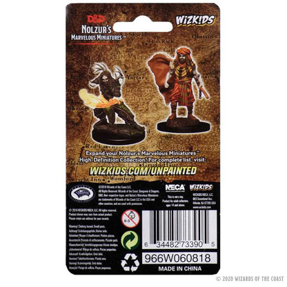 D&D Unpainted Miniatures: Male Human Druid