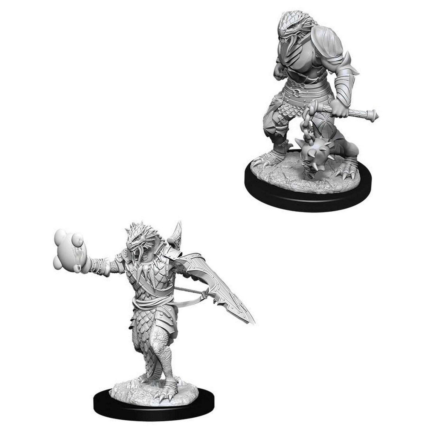 Male Dragonborn Paladin: D&D Nolzur's Marvelous Unpainted Miniatures (W11)