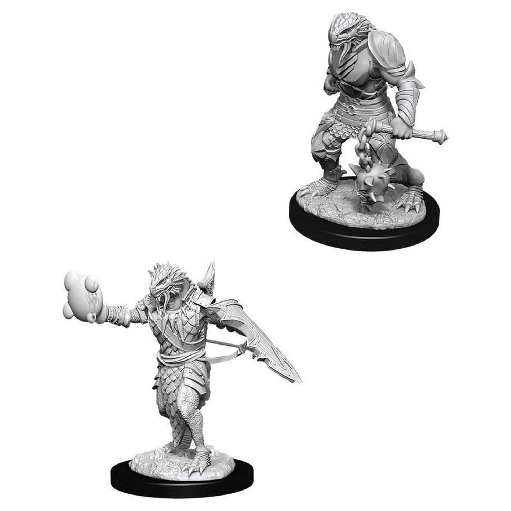 Male Dragonborn Paladin: D&D Nolzur's Marvelous Unpainted Miniatures (W11)