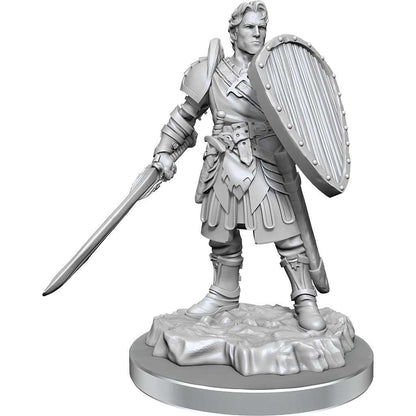 D&D Nolzur's Marvelous Miniatures: Human Fighters