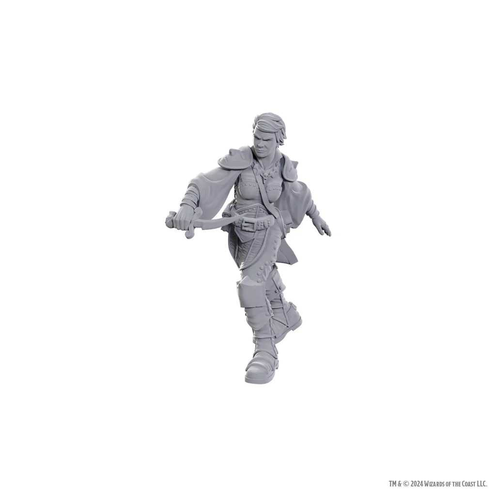 D&D Nolzur's Marvelous Unpainted Miniatures: Swashbuckler