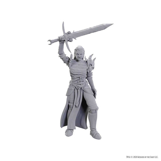 D&D Nolzur's Marvelous Unpainted Miniatures: Blackguard