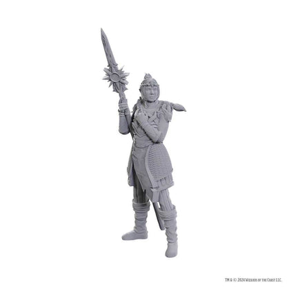 D&D Nolzur's Marvelous Unpainted Miniatures: Special Edition Baldur's Gate 3 - Lae'zel & Shadowheart
