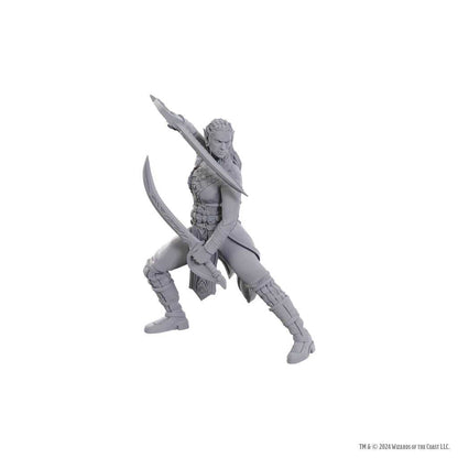 D&D Nolzur's Marvelous Unpainted Miniatures: Special Edition Baldur's Gate 3 - Jaheira & Halsin