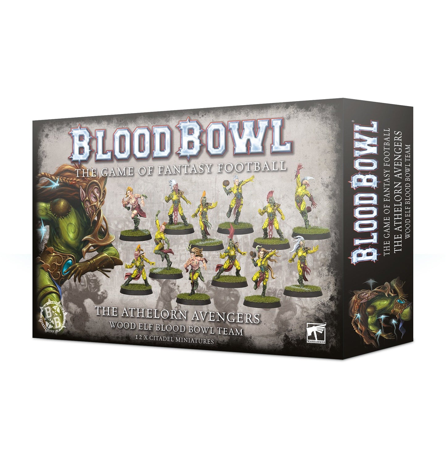 Blood Bowl: Woof Elf Team